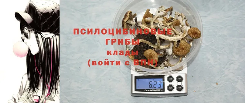 Псилоцибиновые грибы Magic Shrooms  omg ССЫЛКА  Белинский 